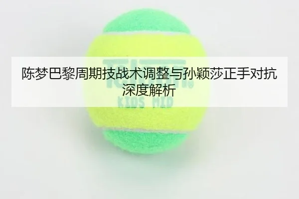chen-meng-ba-li-zhou-qi-ji-zhan-shu-tiao-zheng-yu-sun-ying-sha-zheng-shou-dui-kang-shen-du-jie-xi-2-205.jpg