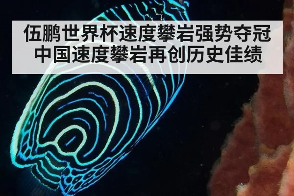 伍鹏世界杯速度攀岩强势夺冠 中国速度攀岩再创历史佳绩