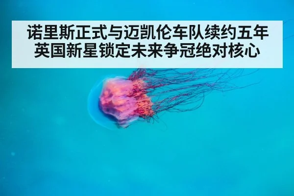 诺里斯正式与迈凯伦车队续约五年英国新星锁定未来争冠绝对核心